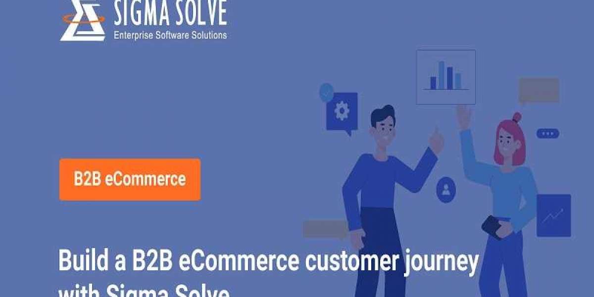 Build a B2B eCommerce customer journey with Sigma Solve