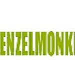 Enzelmonkey Lab Web Design and Development