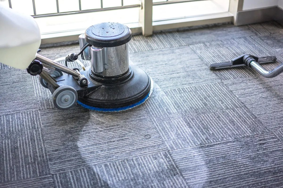 Elevate Your Space with Professional Carpet Cleaning Services