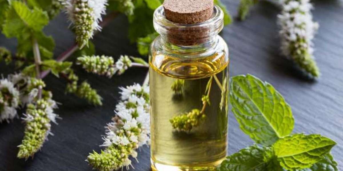 Peppermint Oil Manufacturing Plant Project Report, Business Plan, Expense, and Revenue