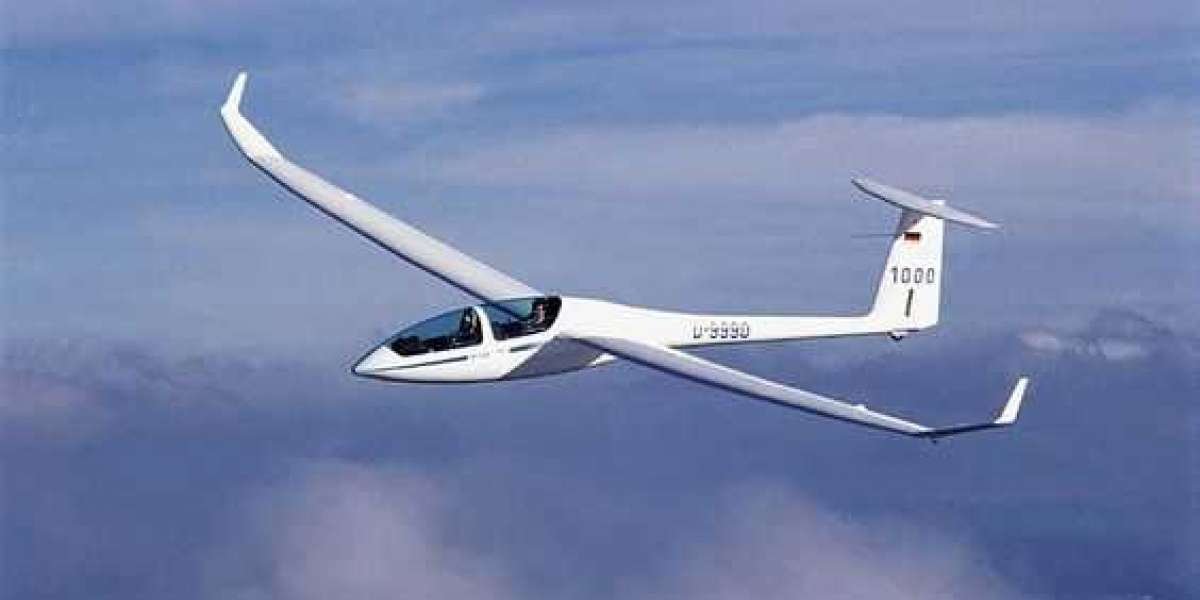 Gliders Market Share Business Strategies To 2033