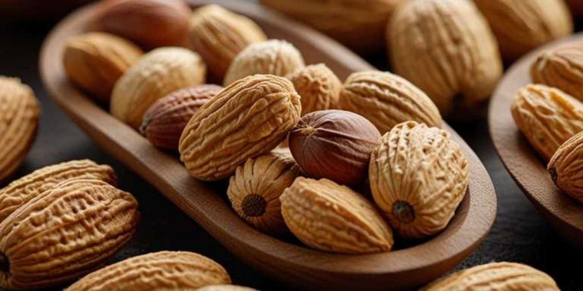 Flavored Nut Manufacturing Plant Report 2024: Project Details, Requirements and Cost Involved