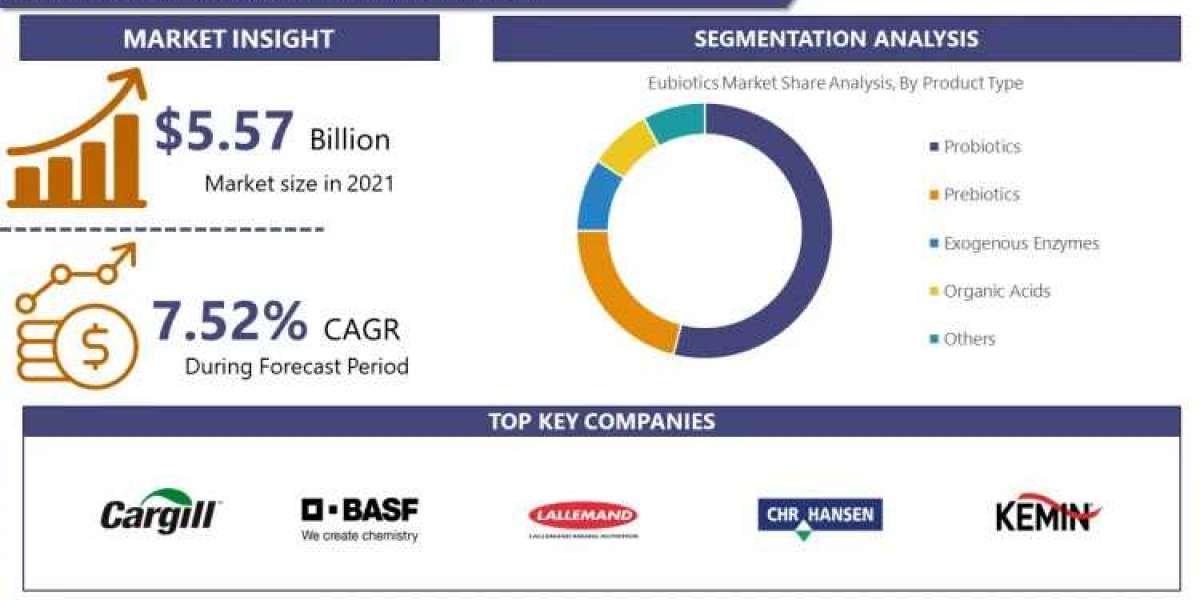 Eubiotics Market Report by Key Companies, Regional Analysis and Forecast by 2032 | IMR