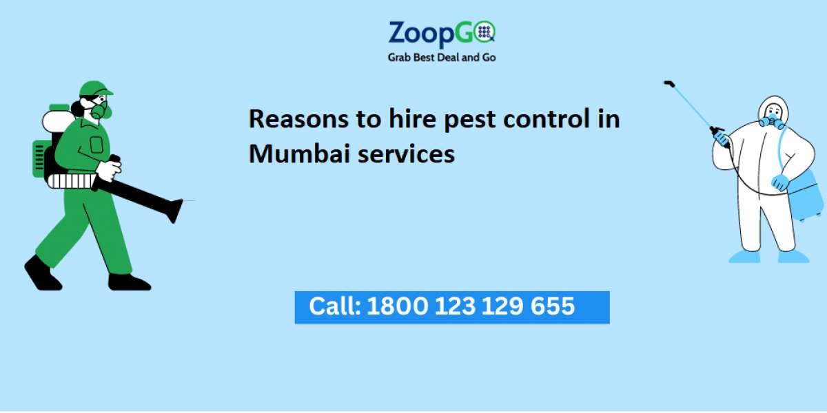 Reasons to hire pest control in Mumbai services