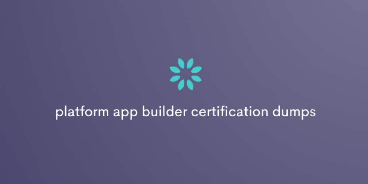 Salesforce Platform App Builder Dumps: Maximize Your Study Time