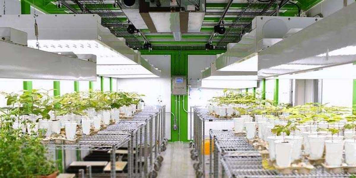 Plant Growth Chambers Market Size, Share Industry Report, 2024