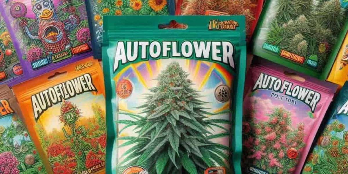 Indoor Cannabis Seeds in Colorado: A Grower's Guide