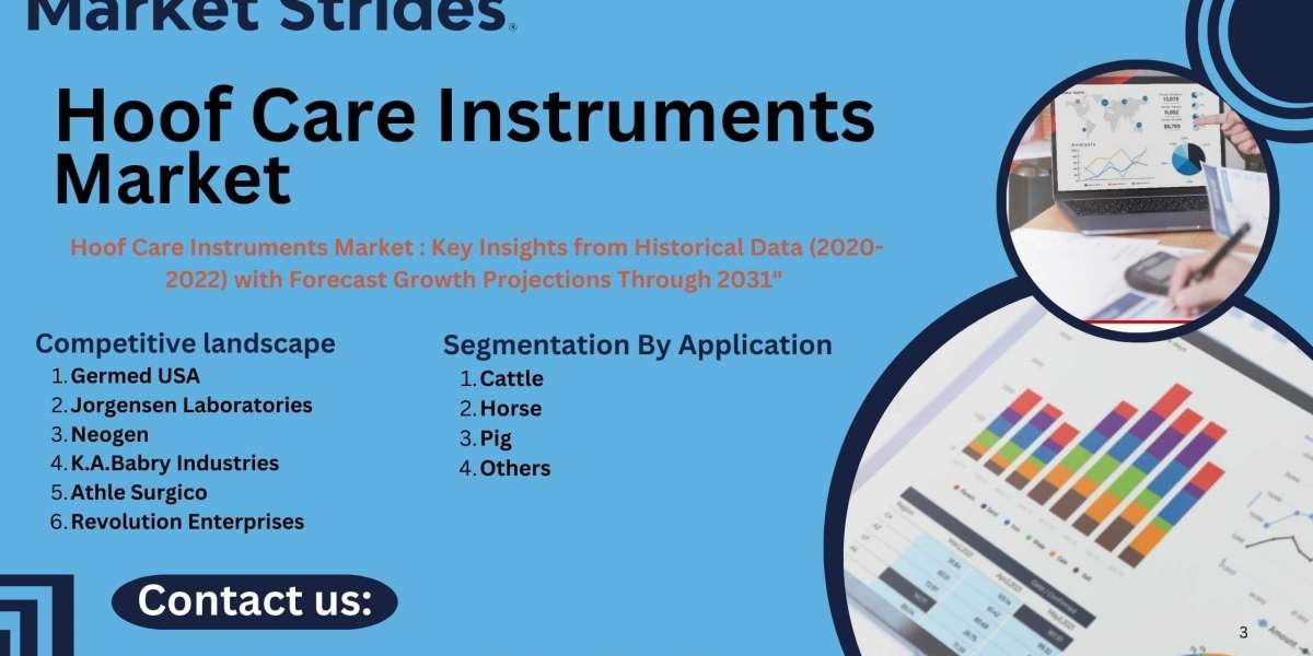 Hoof Care Instruments Market: Insights and Forecast to 2031 | Market Strides