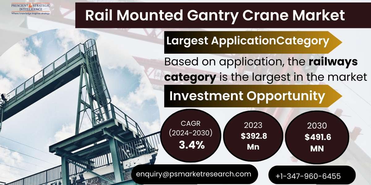 Regional Insights: Rail Mounted Gantry Crane Market Outlook Across Key Geographies