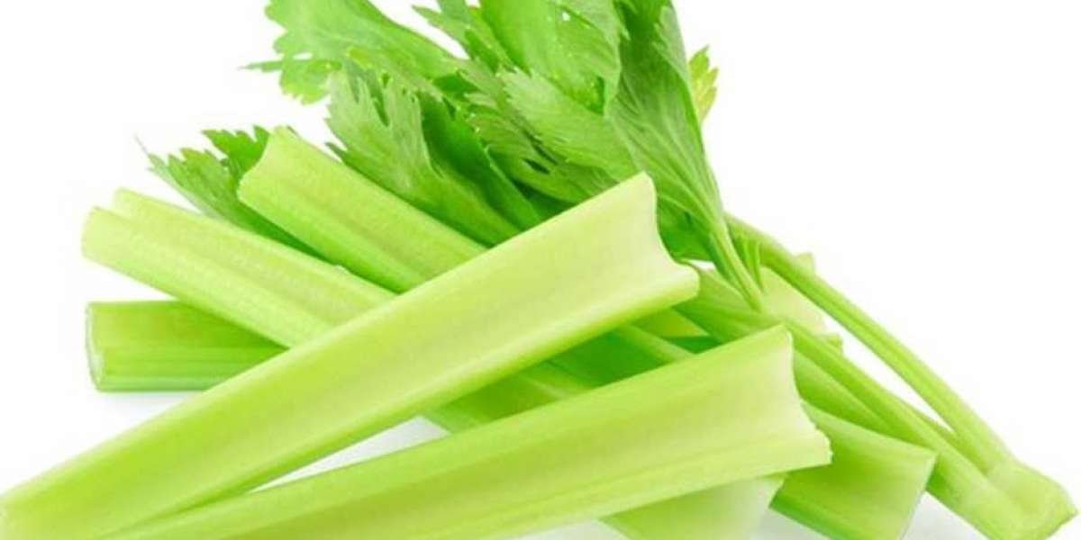 Celery Processing Plant Project Report 2024: Materials Cost, Setup Details and Requirements