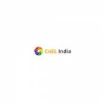 CnEL India