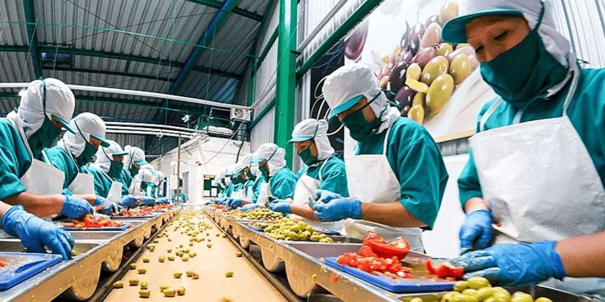 Report on Food Processing Plant Detailing Business Plan, Cost Analysis and Material Requirements