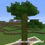 Minecraft APK