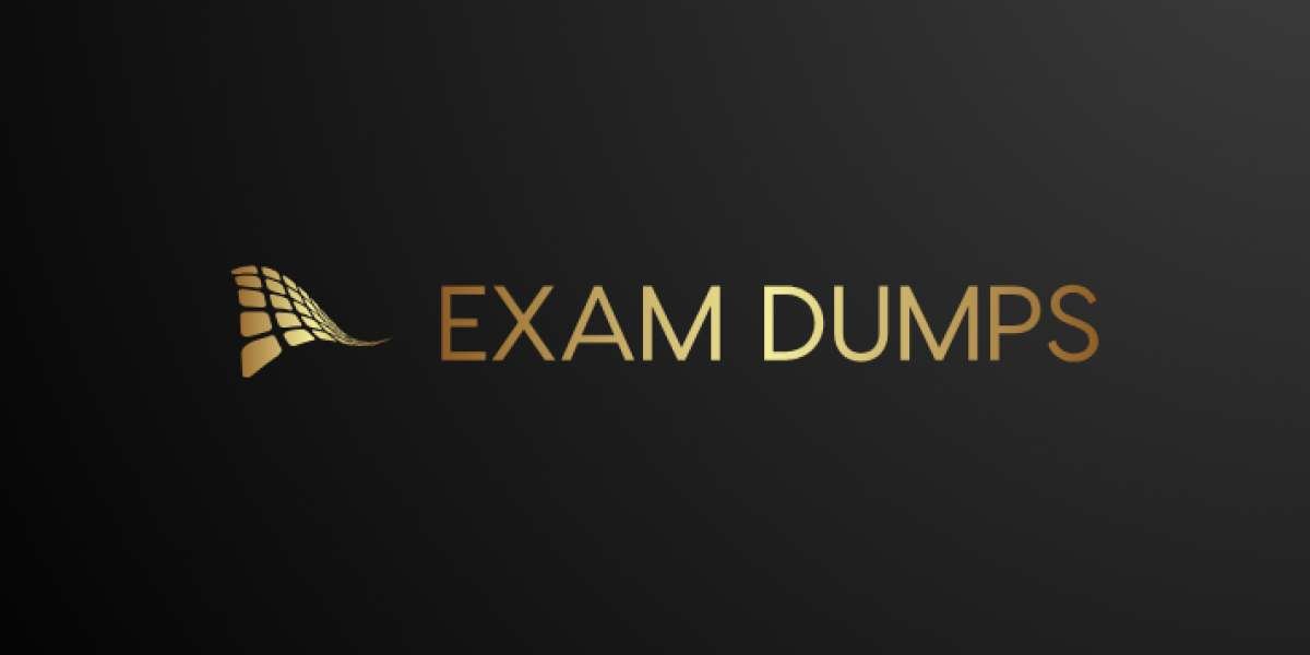 Exam Dumps for Beginners: What You Should Know