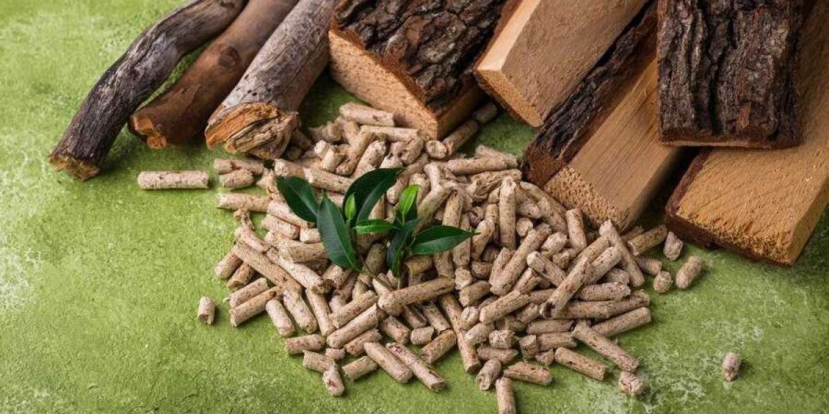 Biomass Briquettes Market Outlook 2023-2033: Driving Renewable Energy Adoption