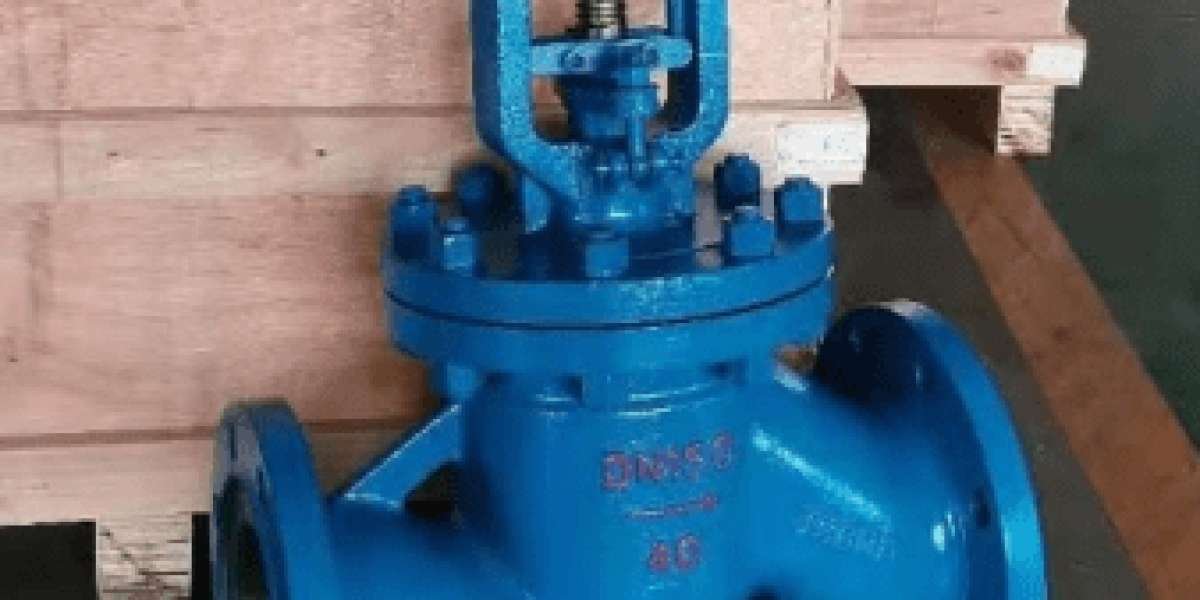 Globe Valve Manufacturers in India