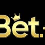 77Bet Nhà Cái 77Bet Đắng Cấp Số 1