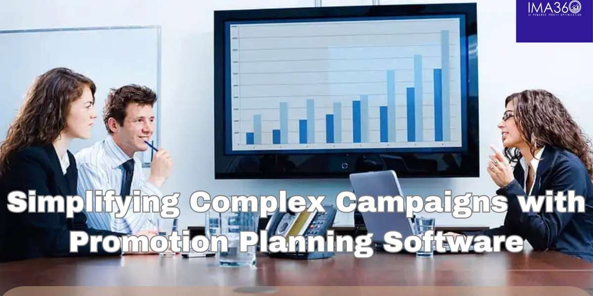 Simplifying Complex Campaigns with Promotion Planning Software