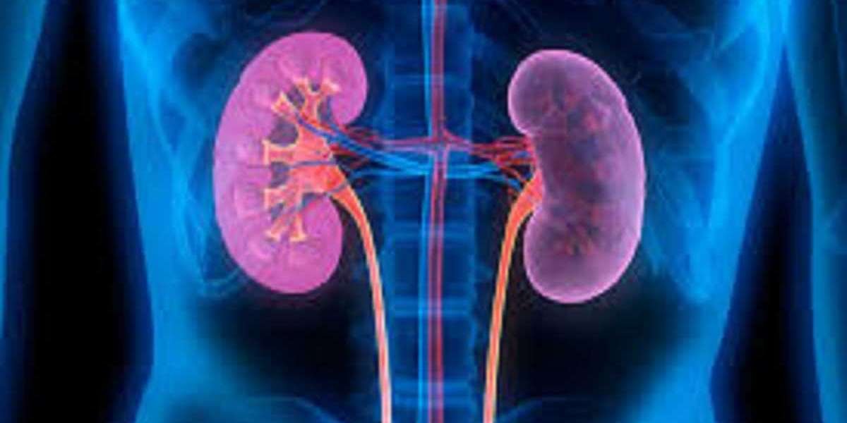 Report on Kidney/Renal Fibrosis Treatment Market Research 2032 - Value Market Research