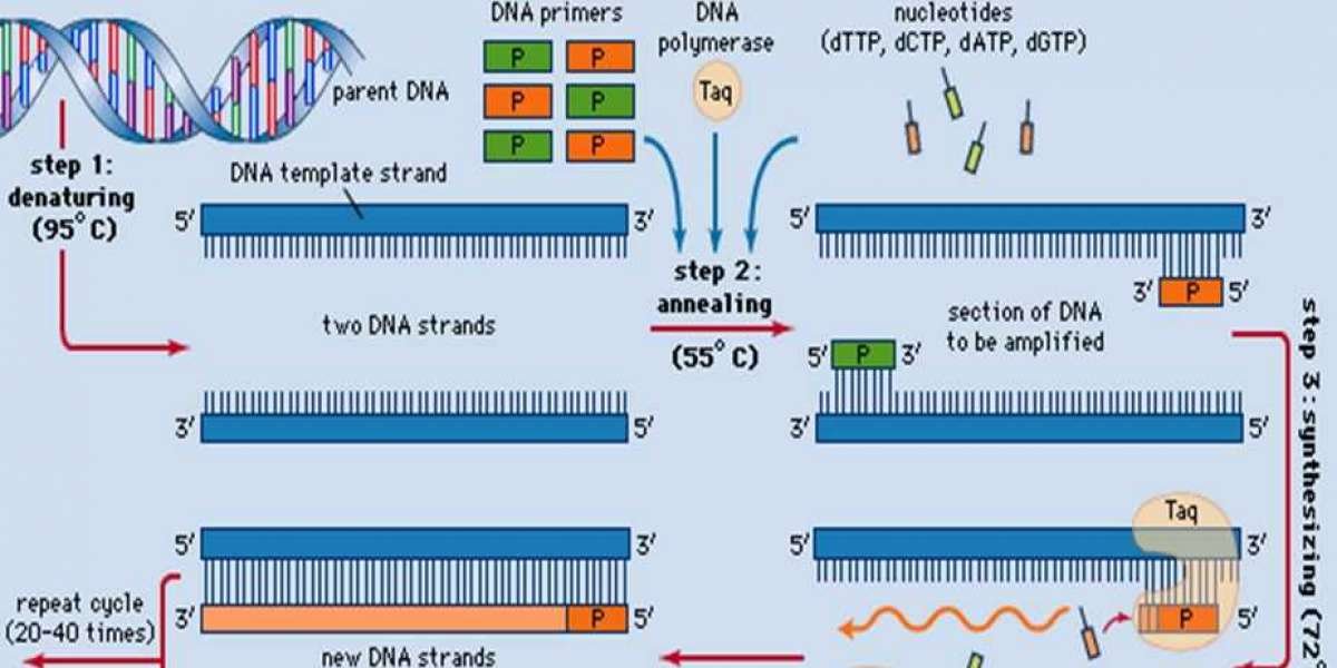 PCR Tech Market to Hit $30B by 2034