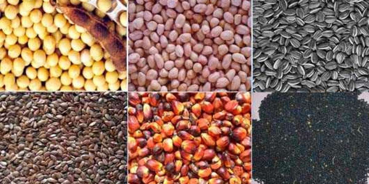 The Future of the Global Oilseeds Market: Size, Trends, and Forecast for 2023-2033