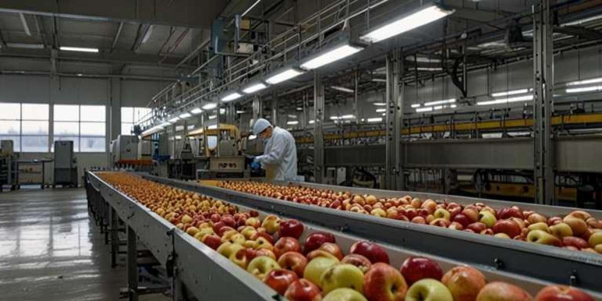 Apple Processing Plant Project Report 2024: Setup Details, Capital Investments and Expenses