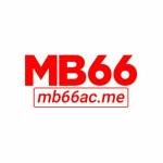 MB66
