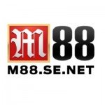 M88 SE Profile Picture