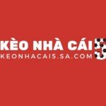 KèoNhàCái5 Bid Profile Picture