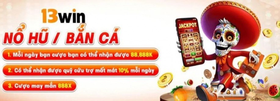 13WIN HYPERORG Cover Image