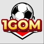 1Gomvn live Profile Picture