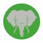 Elephant Trunk Profile Picture